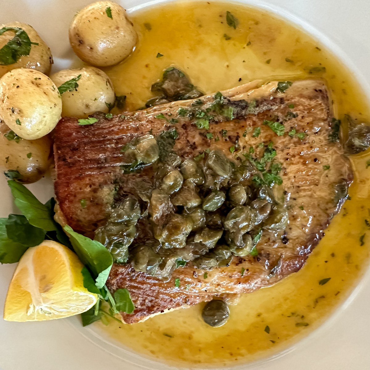 Lemon–Dill Piccata Sauce